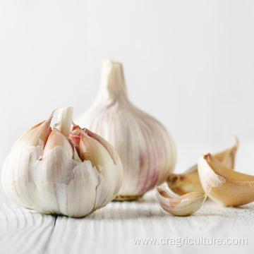 Garlic Planting Price For Sale